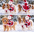Santa's Little Ride