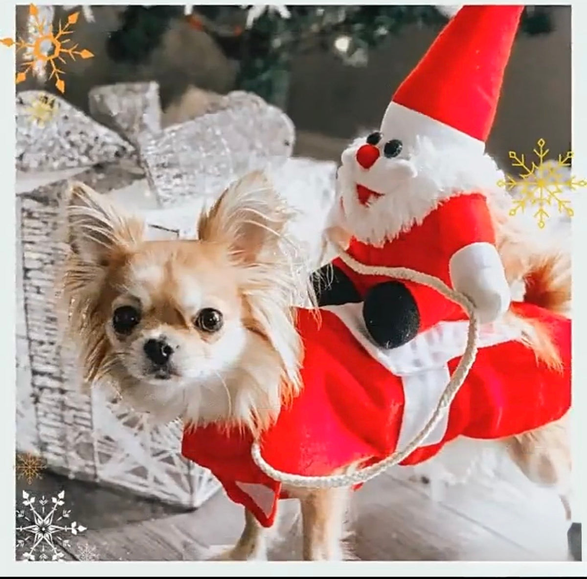 Santa Rider Christmas Dog Costume - Funny Holiday Pet Outfit