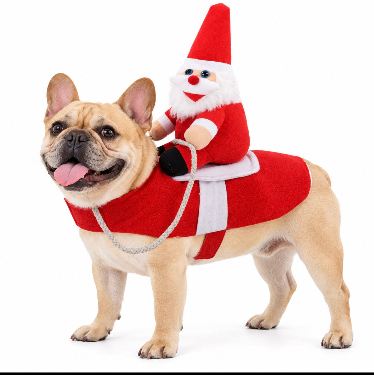 Santa Rider Christmas Dog Costume - Funny Holiday Pet Outfit