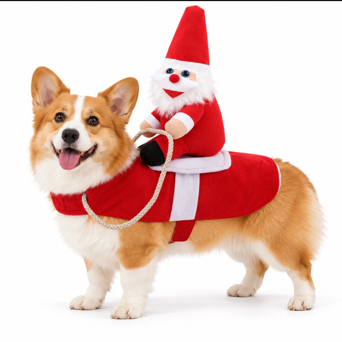 Santa Rider Christmas Dog Costume - Funny Holiday Pet Outfit